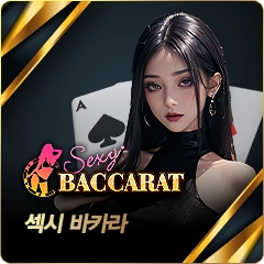 섹시바카라 카지노
